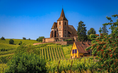 Mixed Protestant and Catholic Church of Saint Jacques le Majeur and grape vines at a vineyard, Hunawihr, a village on the Alsatian Wine Route, France - obrazy, fototapety, plakaty