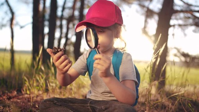 child girl boy scout studying a pine cone in the forest with lifestyle a magnifying glass. happy family child dream concept. child tourist explorer with magnifying glass in the forest