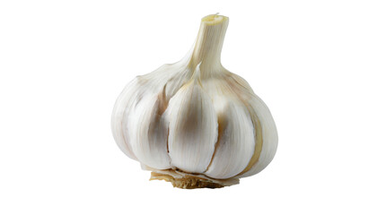 Garlic bulb isolated on transparent background