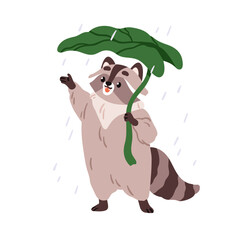 Cute raccoon under leaf umbrella in warm summer rain. Funny animal character enjoying rainy weather with natural shelter. Happy joyful racoon. Flat vector illustration isolated on white background