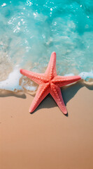 Fototapeta na wymiar Beautiful red starfish on the sand .Summer natural concept.