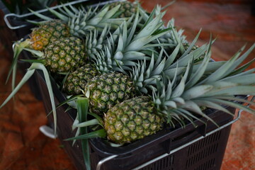 pineapple at the market