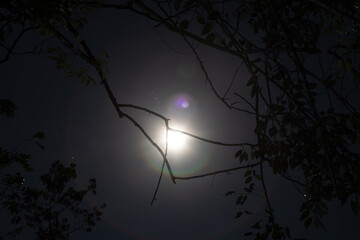 Full moon glow through thin tree branches with no leaves with multicolor lens flare