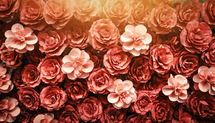  Artificial red gradient Flowers Wall for background © fajrulisme