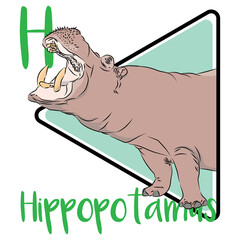 Hippopotamus is Greek for “river horse,” and is often seen basking on the banks or sleeping in the waters of rivers, lakes, and swamps next to grasslands. Hippos have unique skin.