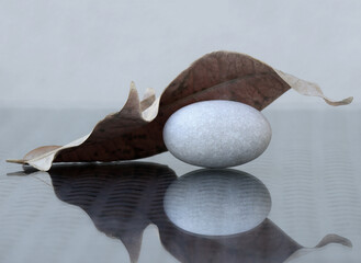 Sea pebble and dry leaf