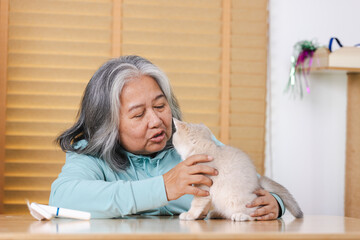 The elderly woman, grappling with the weight of depression, finds solace in the gentle presence of her cat, a furry confidant offering silent companionship. - obrazy, fototapety, plakaty
