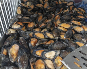 Frozen mussels on a self shopping in a market. Iced mussel meat as ingredient of protein omega-3 healthy eating and tasty seafood recipes. Cooking shellfish.