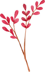 Watercolor pink flowers