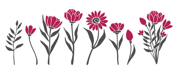 	
Set of beautiful flowers silhouette, plant design. Vector illustration