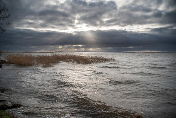 Lake landscape, lake dabie in szczecin, Poland.