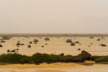 佐和田の浜