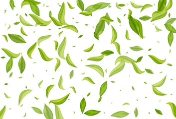 Olive Greens Fly Vector White Background Pattern.