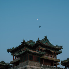 Fototapeta premium temple in Summer Palace at night