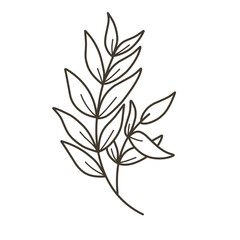 Blob line art leaf