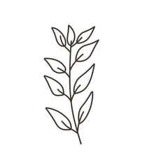 Blob line art leaf