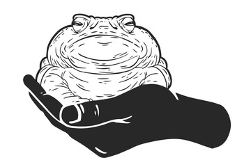 Toad in hand isolated on white background. Funny character design in outline and color version. Cartoon vector illustration.