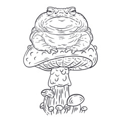 Large toad sits on mushroom. Hand drawn composition. Outline vector illustration in cartoon style.