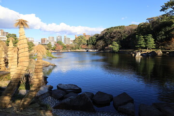  A Japanese garden in Nagoya City in Aichi Prefecture : a scene of Tokugawa-en...
