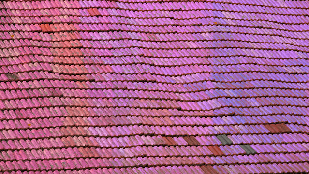 A wavy roof with old tiles. Everything in good condition. The color of the shingles is changed to pink to created a gradient pink background