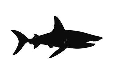 A hammerhead shark Vector black silhouette