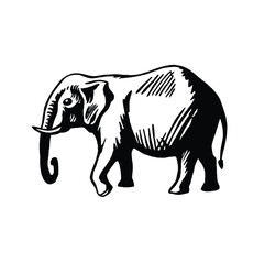 elephant illustration