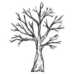 small tree handdrawn illustration