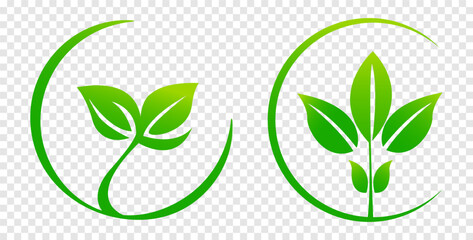 green leaves on isolated background, for logos, designs, for the symbolism of the green planet. logo template, health food icon, organic vegetable garden. Eco-friendly growing. Vector illustration