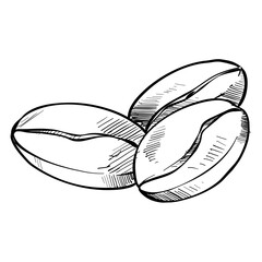 coffee beans handdrawn illustration