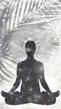 Vertical Abstract Meditating Person Animation, Visualization, Video