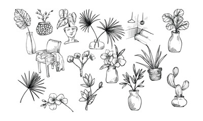 houseplant handdrawn collection