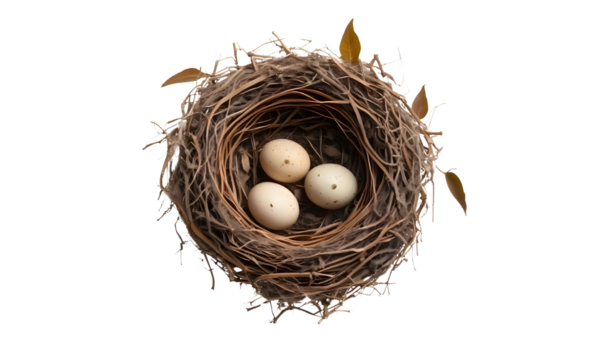 nest with eggs isolated on transparent or white background, cutout, top view,png.