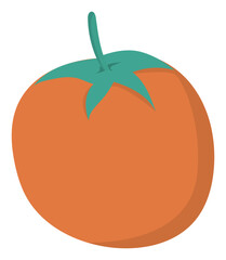 tomato sticker vector illustration