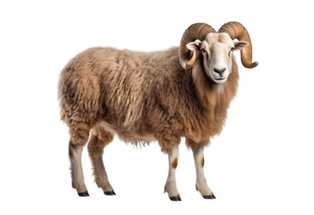 Sheep with horns on transparent background