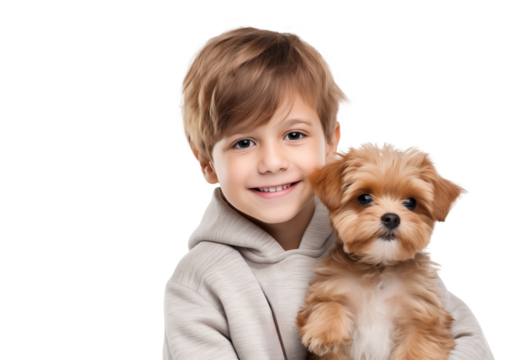 smiling little boy holds a dog puppy in his arms looking at camera on transparent background