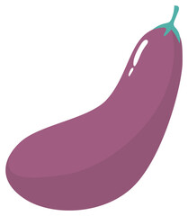 eggplant vector illustration