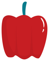 paprika vector illustration