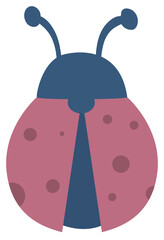 ladybug vector illustration