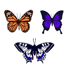 Butterfly Cliparts Beautiful Vector Image Yellow Blue Collection