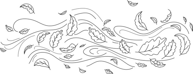Doodle autumn leaves flying in the wind. Falling season outline backdrop, air flow leaves wave linear pattern or wind blowing doodle vector print. Autumn windy weather hand drawn monochrome background