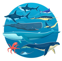 Cartoon sea animals, ocean underwater life fish, whales, octopus, sharks and rays. Vector marine animals of blue, sperm and humpback whales, hammerhead shark, narwhal, marlin, stingray and manta ray - obrazy, fototapety, plakaty