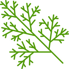 Green dill seasoning herb condiment, outline icon. Vector dill head annual herb, flavoring spicy fennel branch, perennial plant