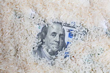 Raw rice for cooking and one hundred dollars buying rice