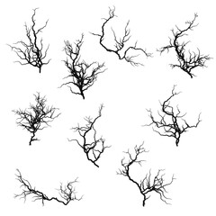 Set of silhouettes of branches