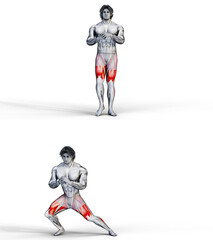 068 Side Lunge. 3D Anatomy of fitness and bodybuilding. An outstanding display of male muscles. Targeted muscles are red. No background. Png.
 - obrazy, fototapety, plakaty