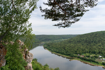 Fototapeta na wymiar River View. Forest on the edge of a cliff overlooking the river.