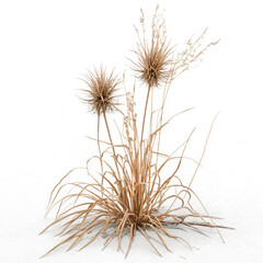 3D Dead Plant and Dry Grass: A Touch of Nature’s Cycle  On transparent background PNG file