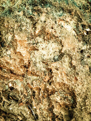 Coastal rocks and sea water as a natural background.