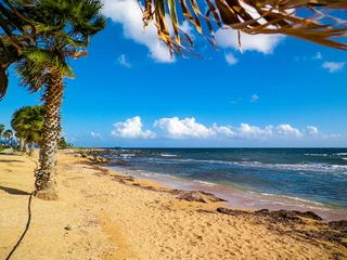 Papier Peint photo Lavable Chypre Beach and palms on Mediterranean Sea coast. Cyprus