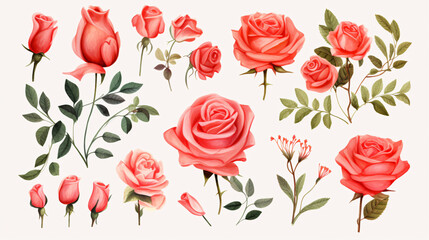 Valentines Roses Watercolor Clipart